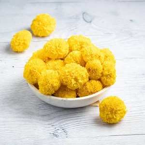 Fresh Marigold Flower Yellow