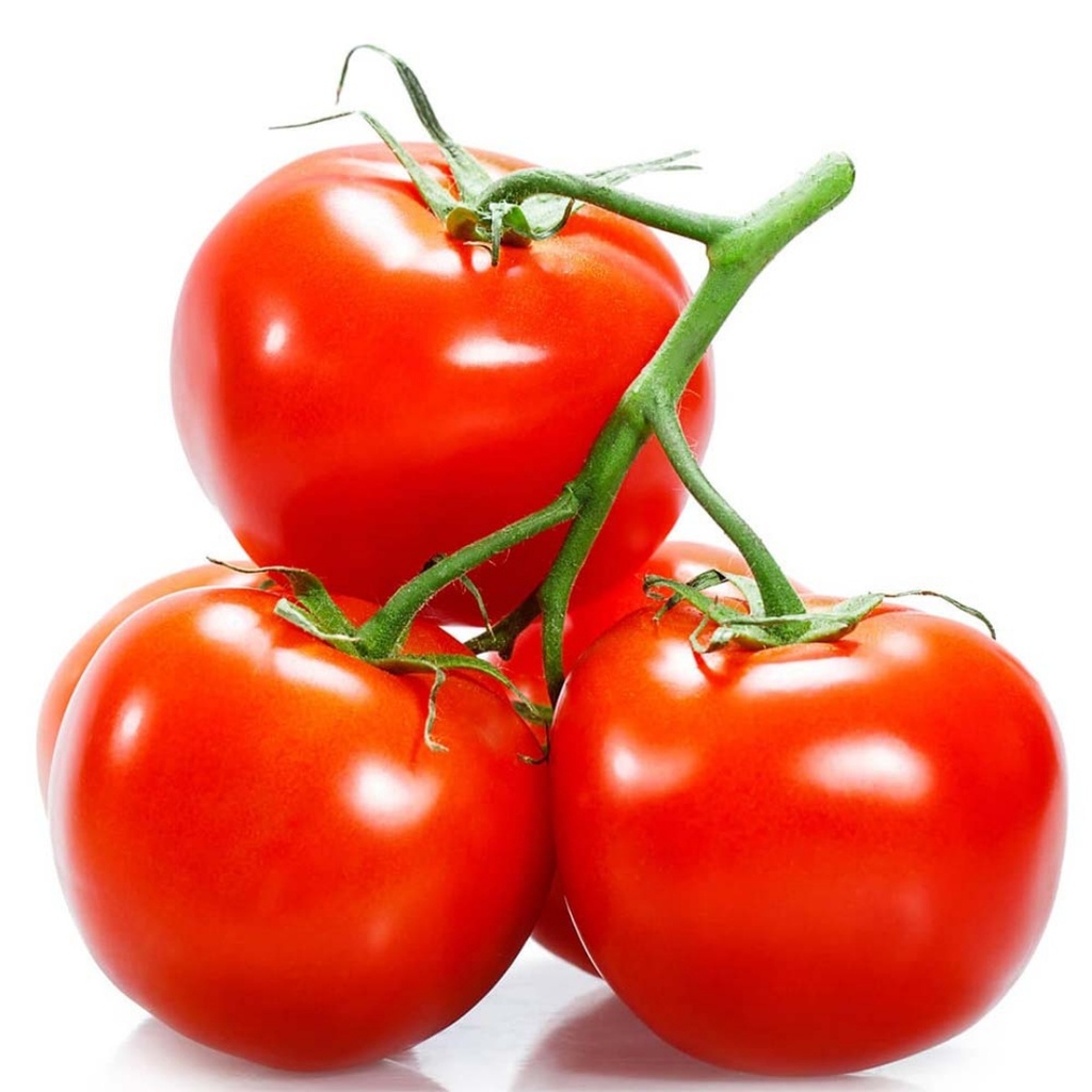 Tomato