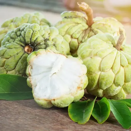 Custard Apple